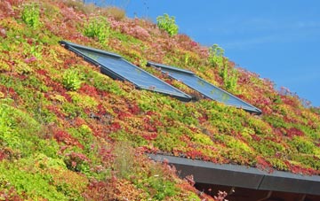 Kirkthorpe living roof systems